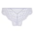 Daisy Brazilian, Purple