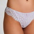 Daisy Brazilian, Purple