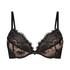 Sia Padded Underwired push-up Bra, Black