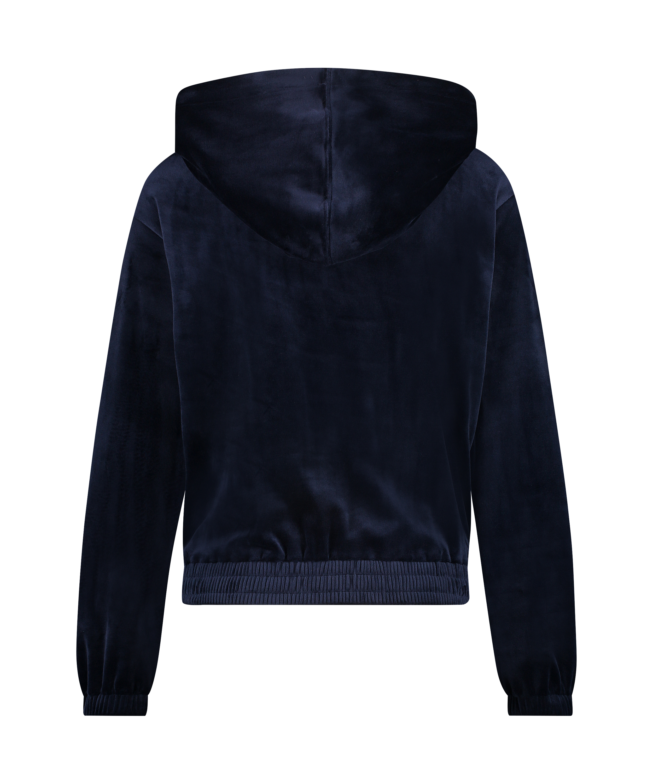 Velour hoodie jacket, Blue, main