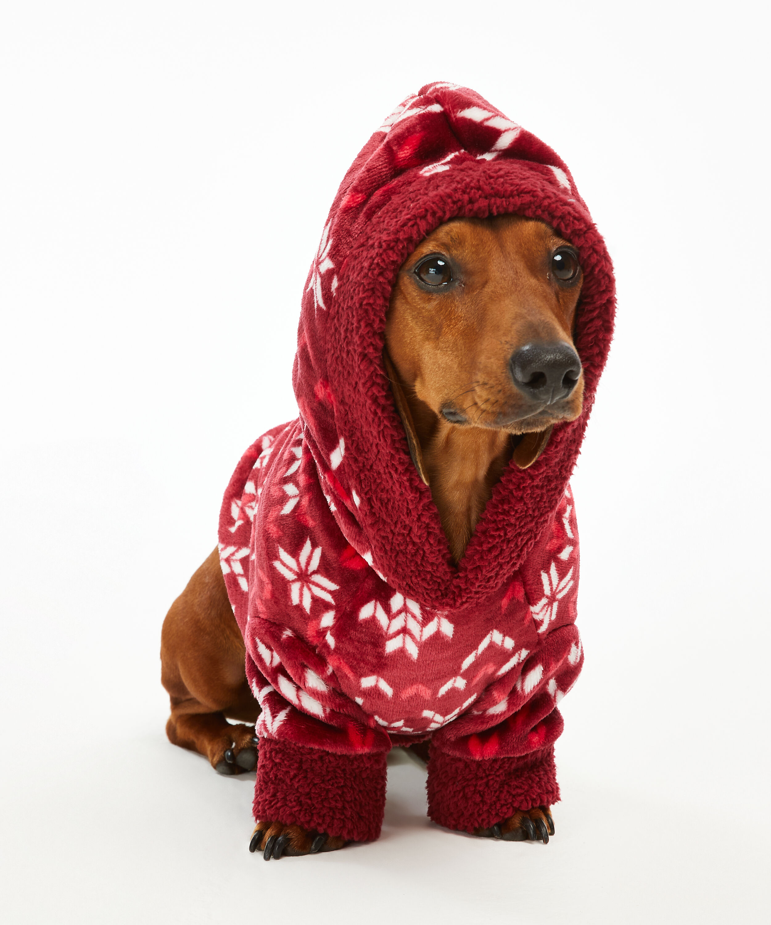 dog fleece onesie