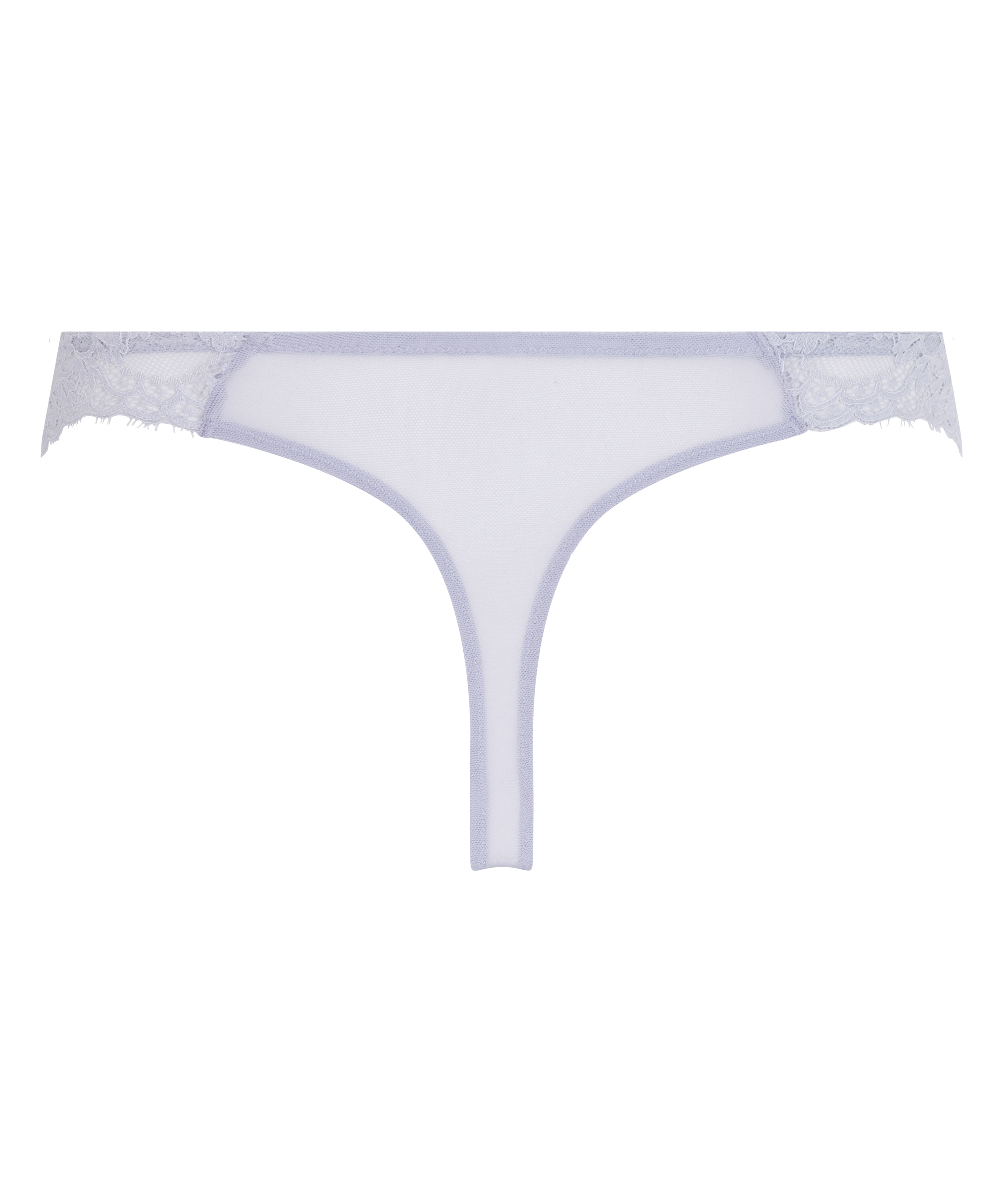 Thong Daisy, Purple, main