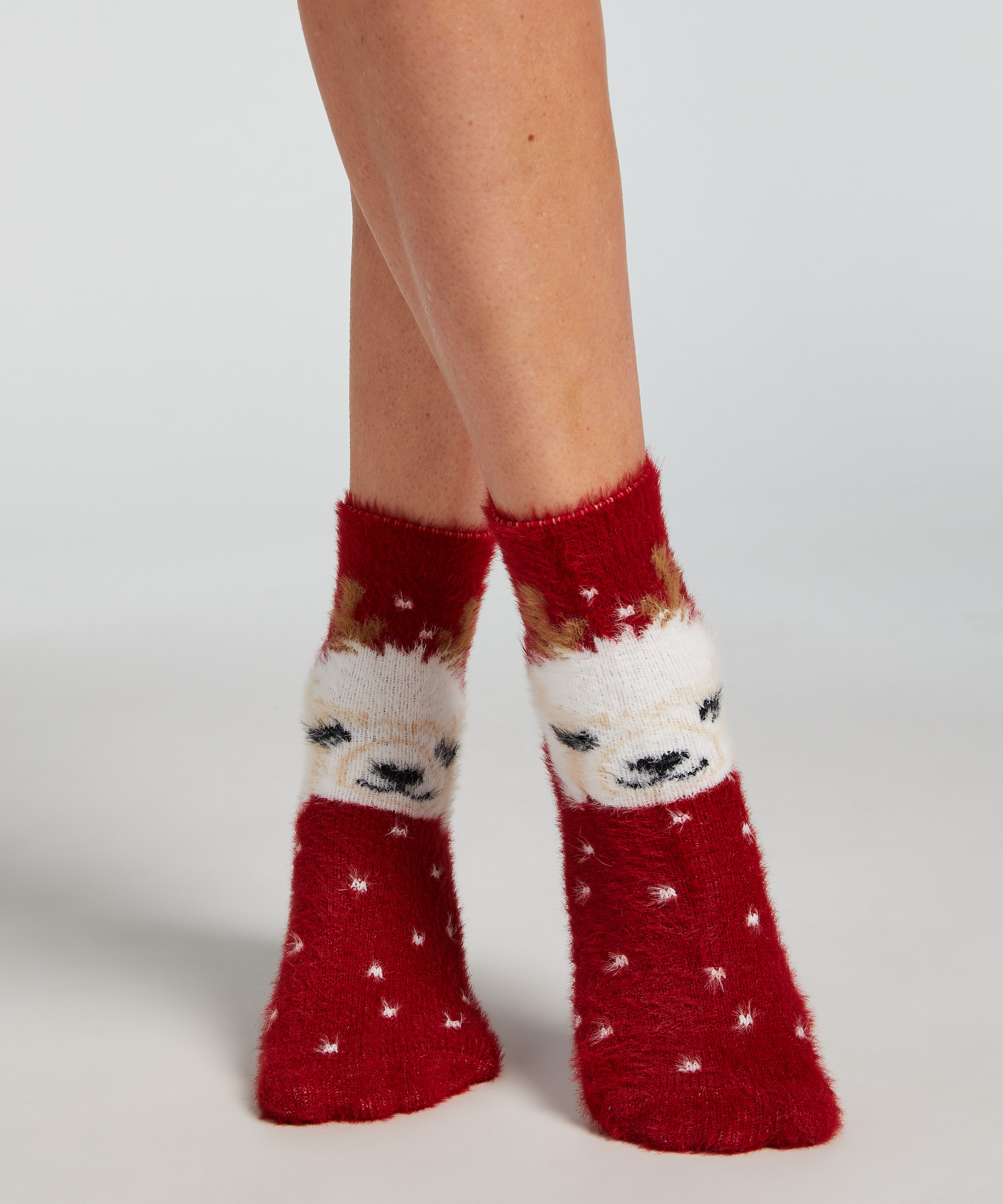 2 pairs of socks Cosy, Red, main