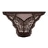 Casade Brazilian, Brown