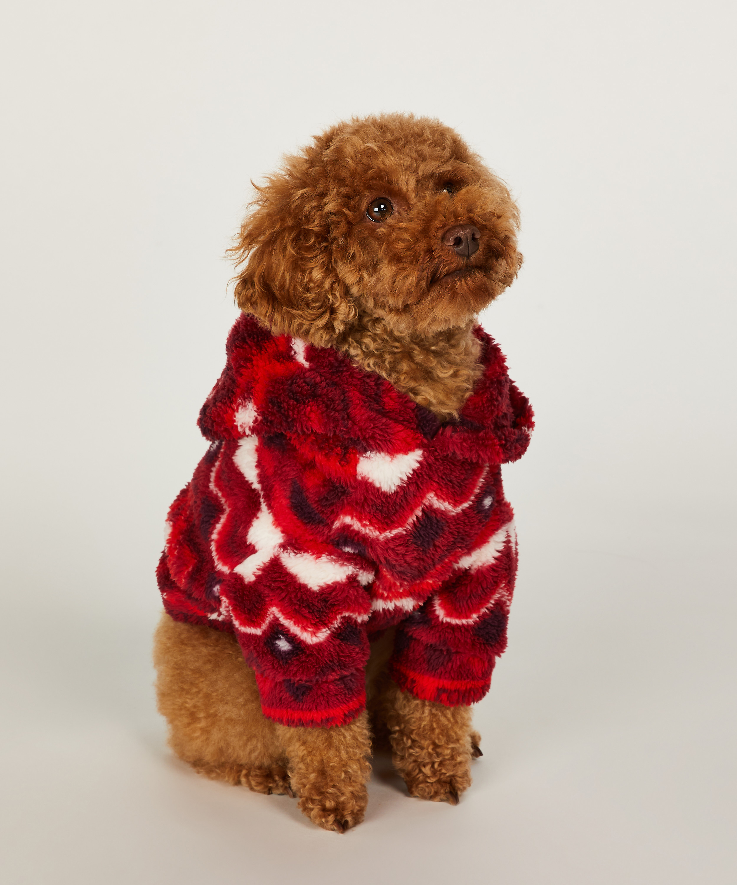 Dog Onesie for €19.99 Onesies Hunkemöller
